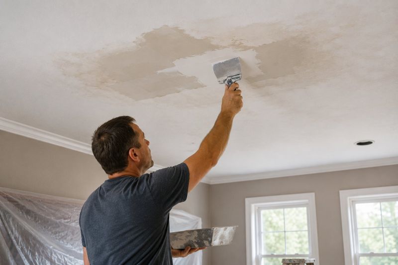 Leaking Ceiling Repair in Denver County, CO